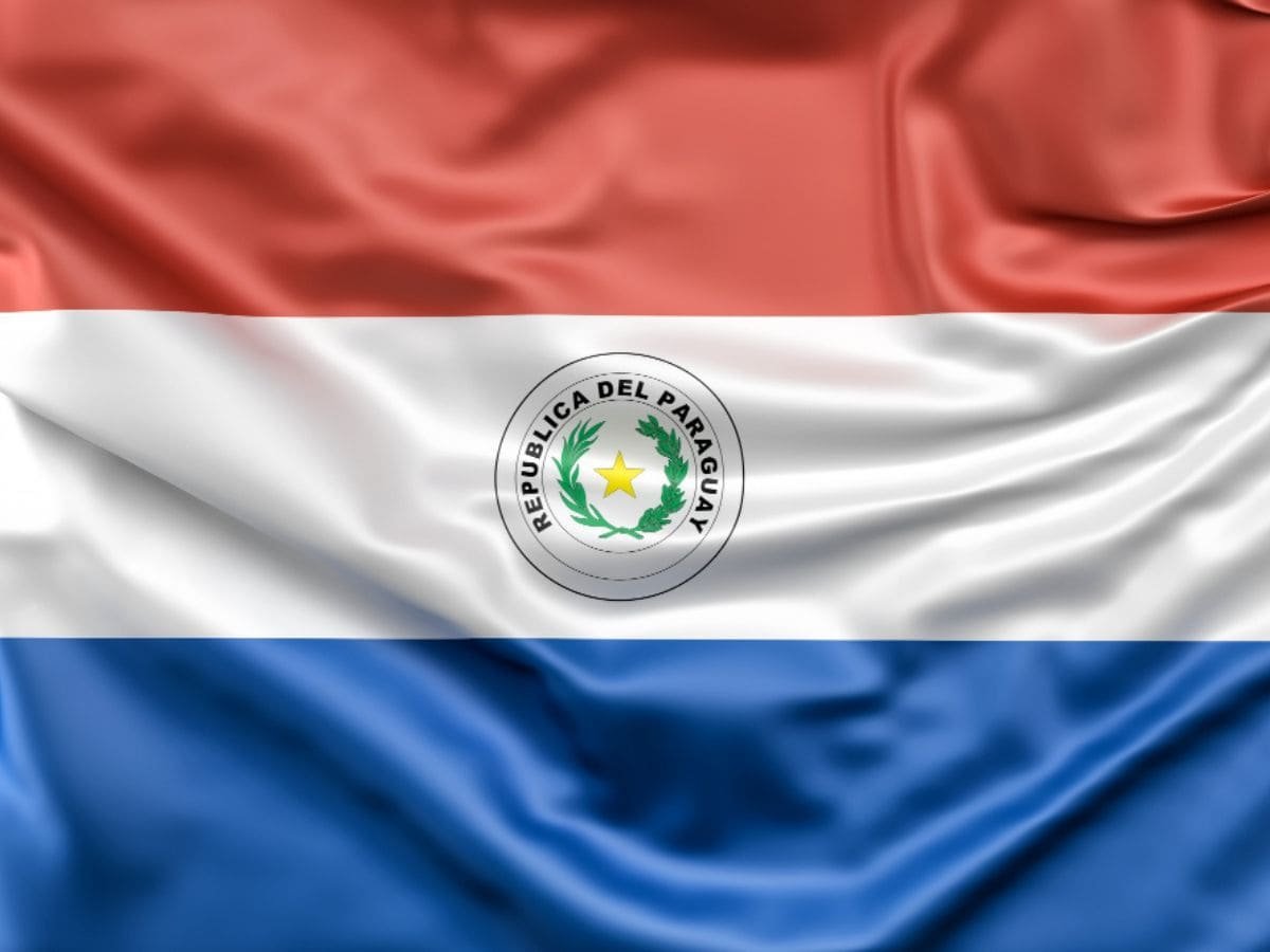 ley de fibromialgia de Paraguay