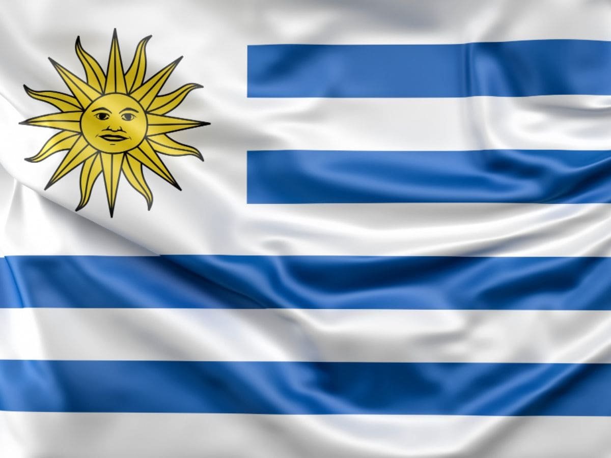 ley de fibromialgia de uruguay